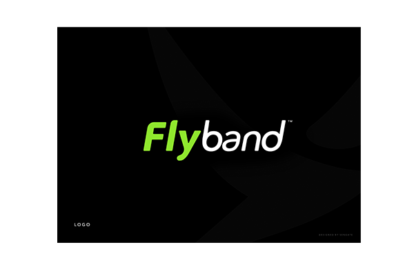 1-Flyband